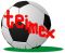 teimex